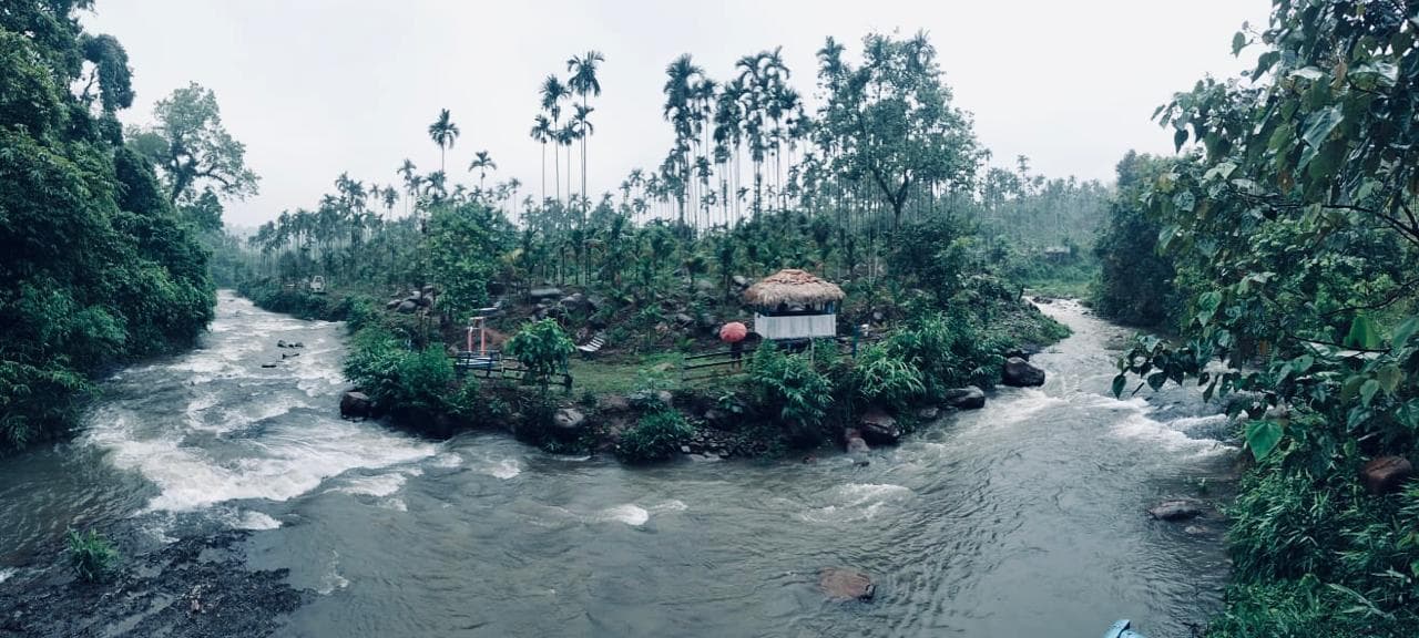 Eco Park Landscape